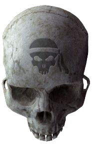 Anniversary Skull