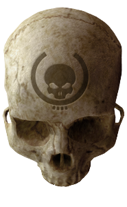 Anniversary Skull