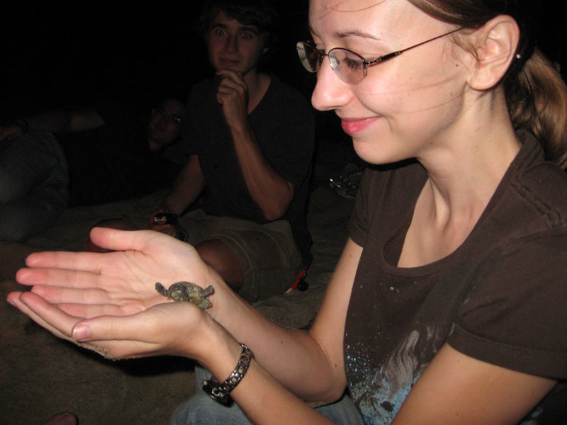 IBOBP2010-149