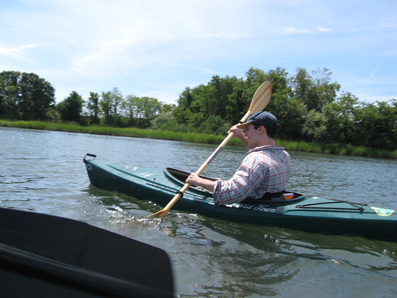 IBOBP2010-203