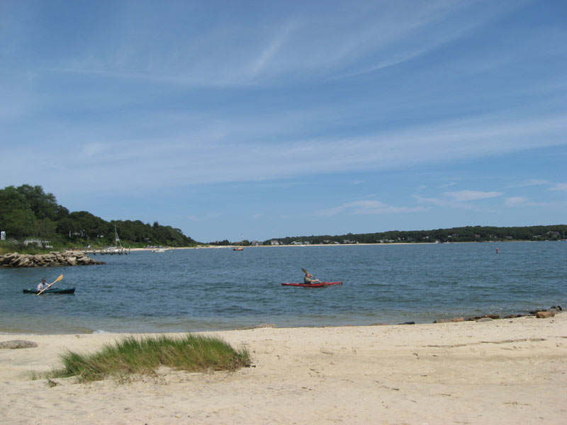 IBOBP2010-209
