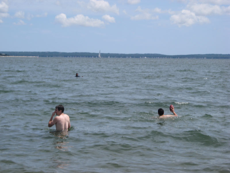 IBOBP2010-218