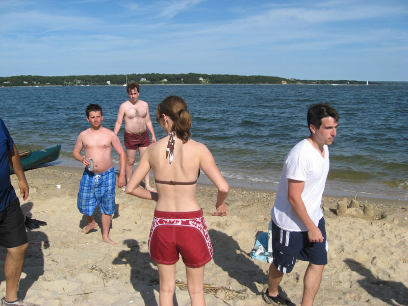 IBOBP2010-223