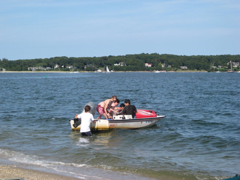 IBOBP2010-228