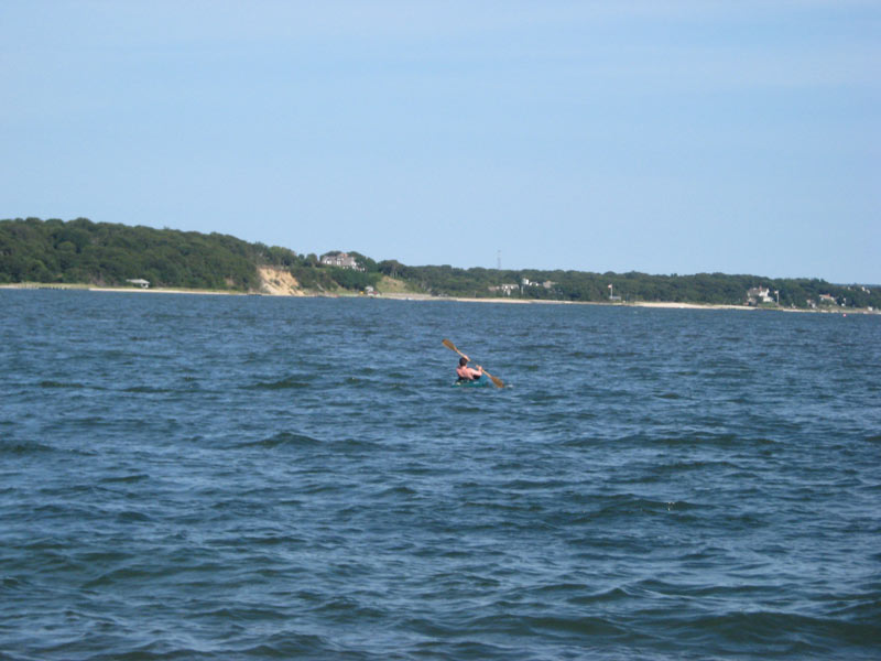 IBOBP2010-244