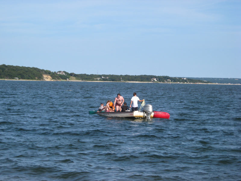 IBOBP2010-251