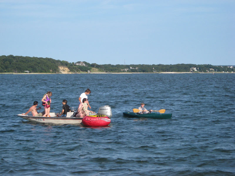IBOBP2010-254