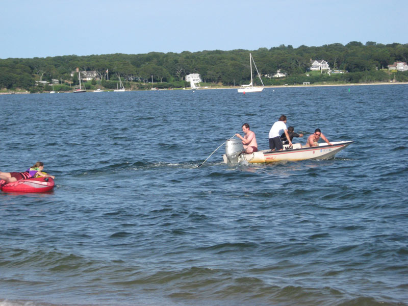 IBOBP2010-262