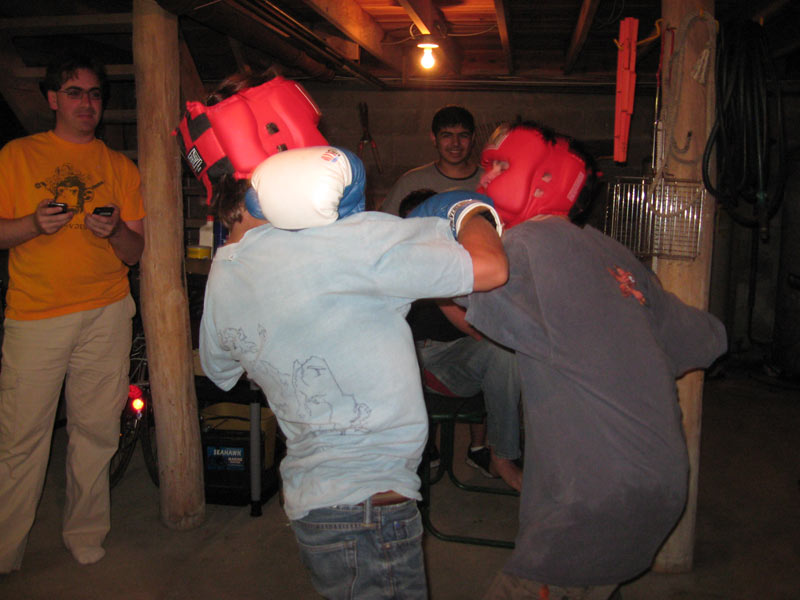 IBOBP2010-282