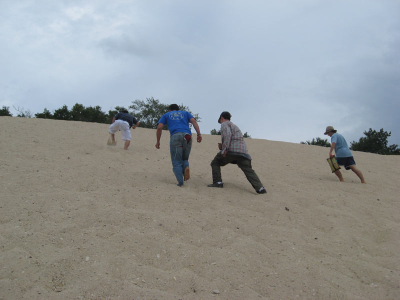 IBOBP2010-299