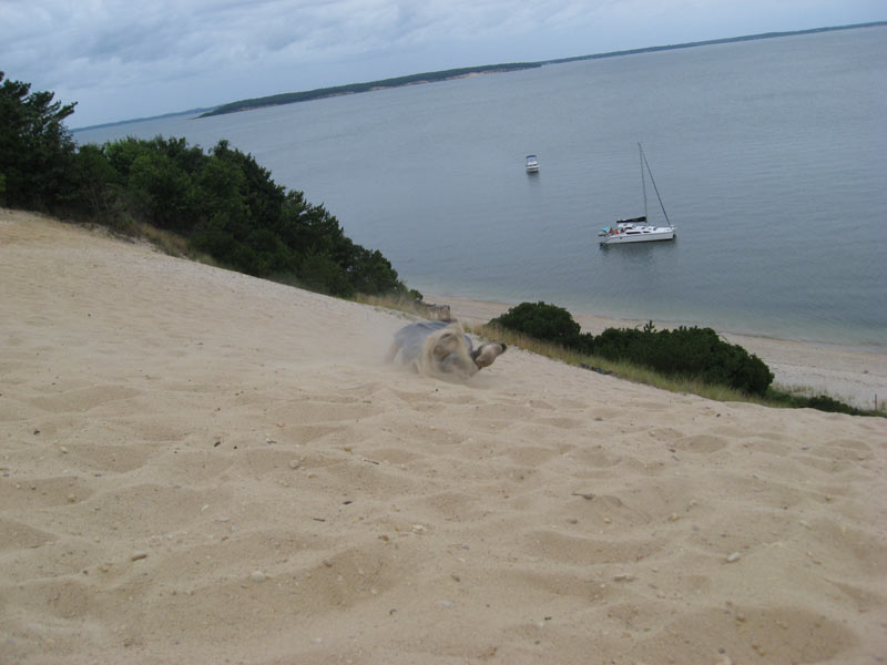 IBOBP2010-307