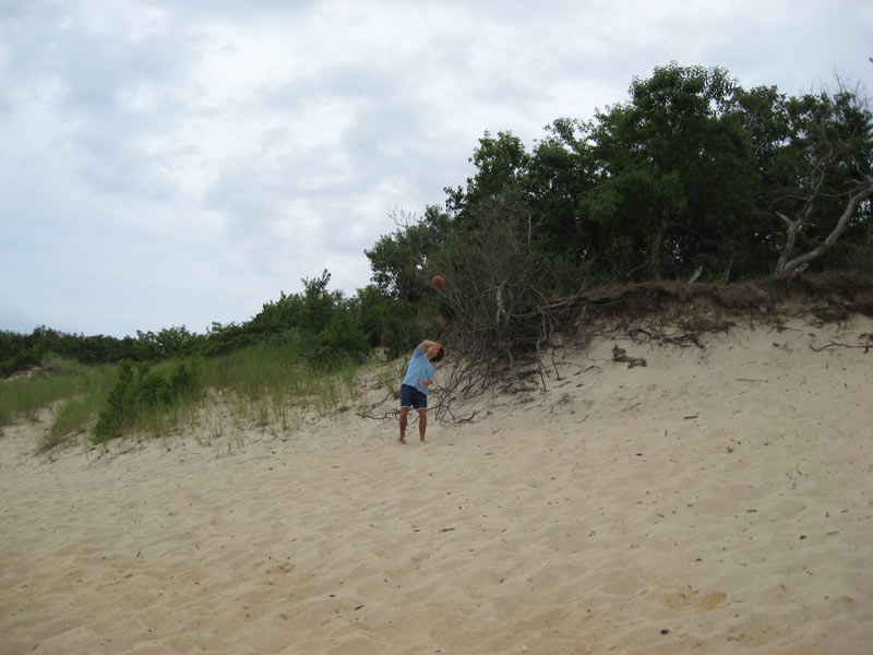 IBOBP2010-320