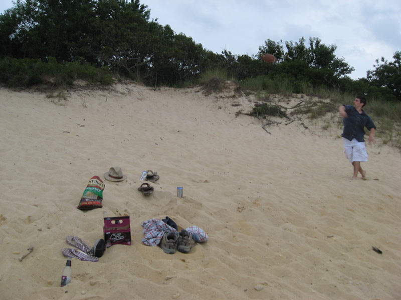 IBOBP2010-323