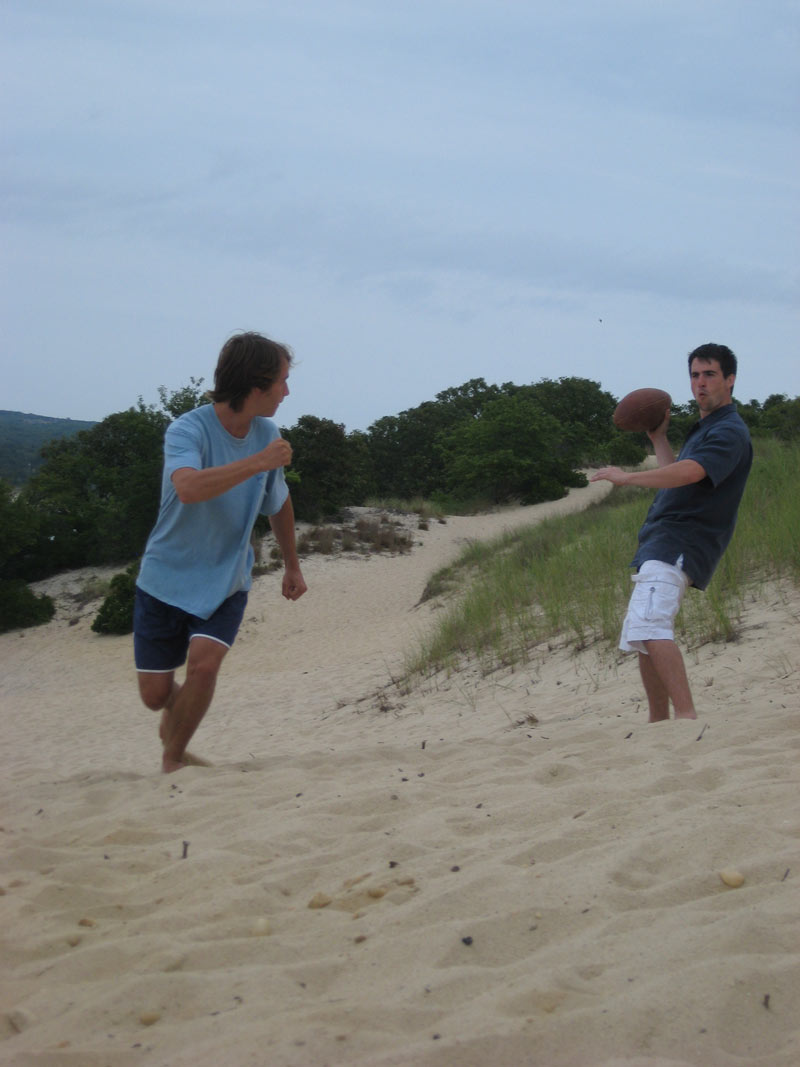 IBOBP2010-334