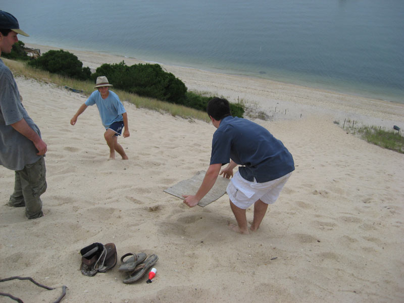 IBOBP2010-345