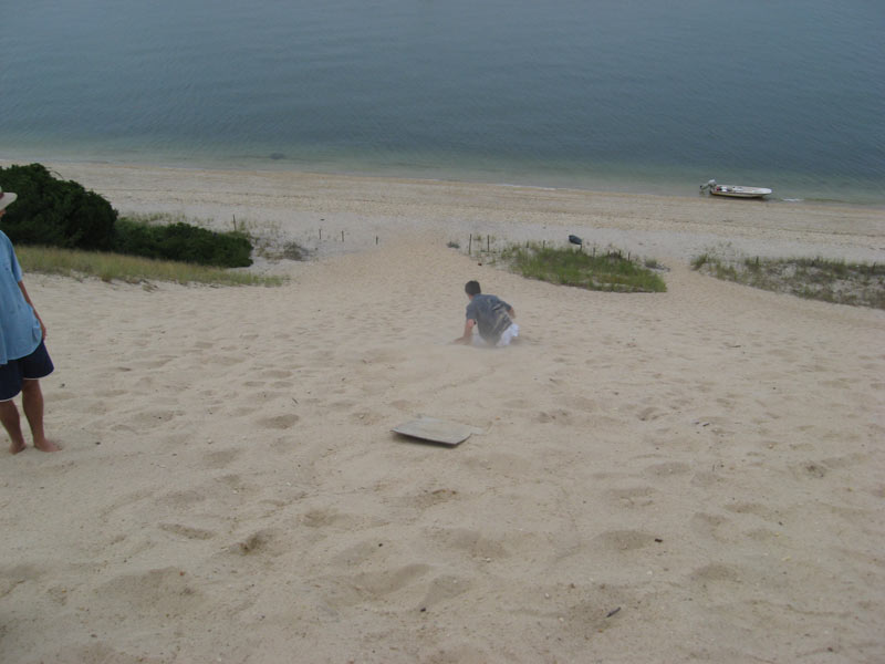 IBOBP2010-347