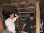 IBOBP2010-266