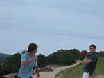 IBOBP2010-334