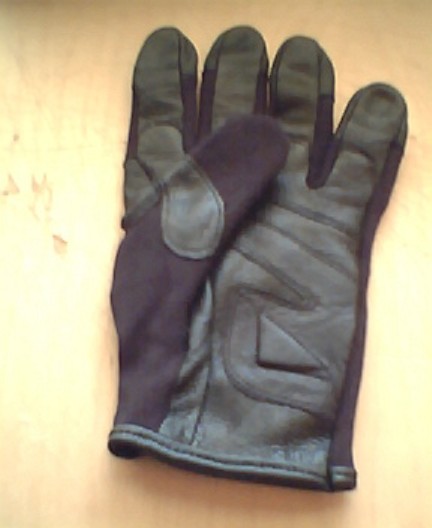 glove002_061907