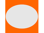 3017-MIS-Oval-logo1