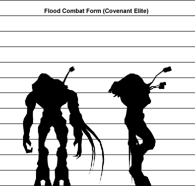 Halo Size Chart