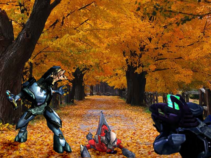 halo-autumn.jpg