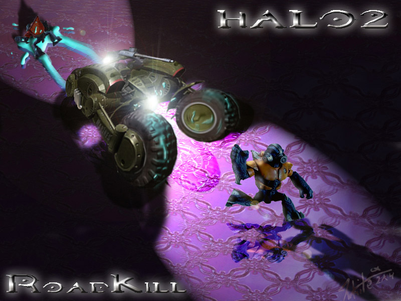 halo2roadkill.jpg